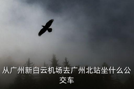 從廣州新白云機場去廣州北站坐什么公交車