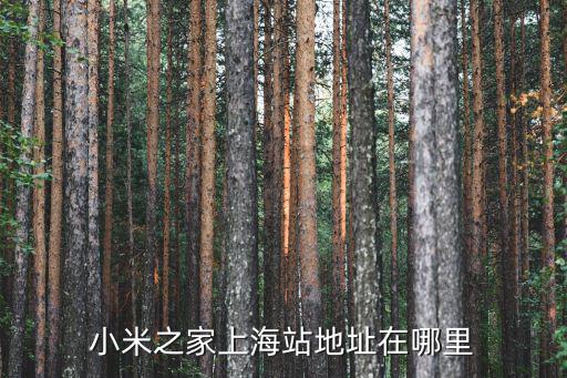 小米之家上海站地址在哪里