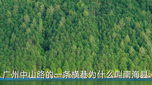 廣州中山路的一條橫巷為什么叫南海縣
