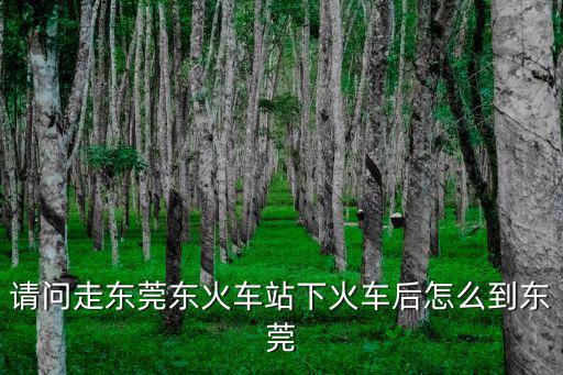 請問走東莞東火車站下火車后怎么到東莞