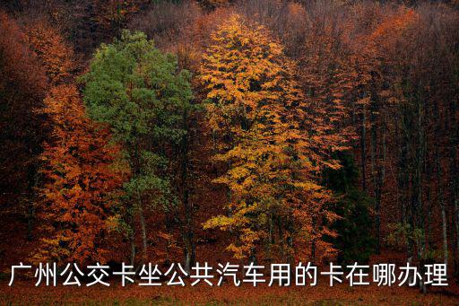 廣州奧體辦卡，我在奧體附近在哪辦理公交卡