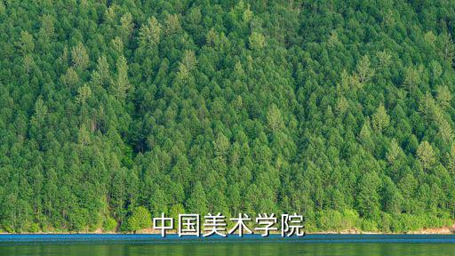 中國美術學院深圳，中國美術學院