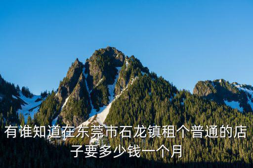 有誰知道在東莞市石龍鎮租個普通的店子要多少錢一個月