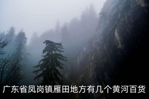 廣東省鳳崗鎮(zhèn)雁田地方有幾個(gè)黃河百貨