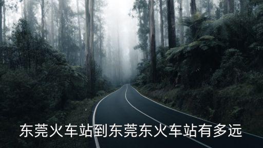 東莞火車站到東莞東火車站有多遠