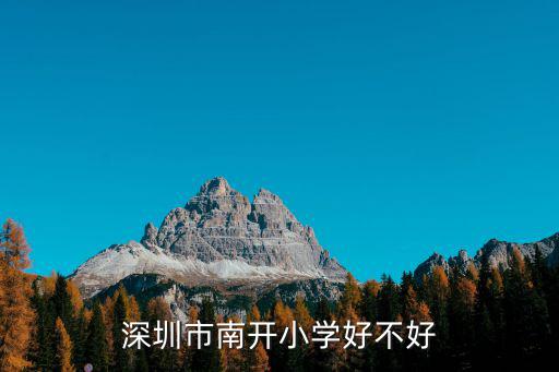 深圳市南開小學好不好