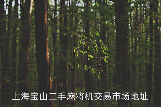 上海寶山二手麻將機交易市場地址
