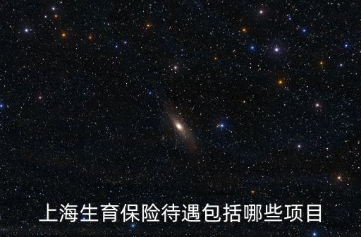上海生育保險待遇包括哪些項目