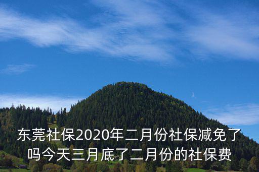 東莞社保2020年二月份社保減免了嗎今天三月底了二月份的社保費