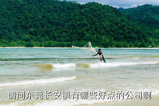 請問東莞長安鎮(zhèn)有哪些好點的公司啊