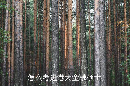 怎么考進港大金融碩士