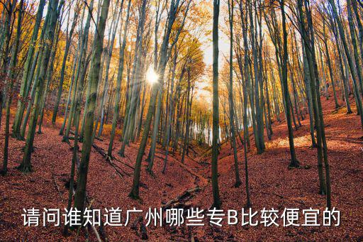 請問誰知道廣州哪些專B比較便宜的