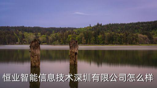 恒業(yè)智能信息技術(shù)深圳有限公司怎么樣