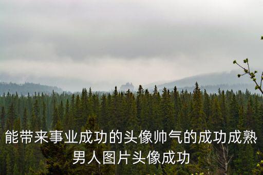 能帶來事業成功的頭像帥氣的成功成熟男人圖片頭像成功