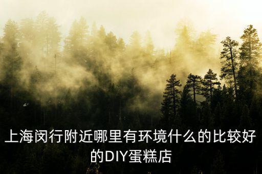 上海閔行附近哪里有環境什么的比較好的DIY蛋糕店