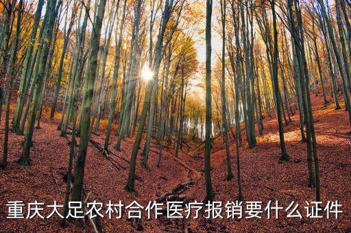 重慶大足農村合作醫療報銷要什么證件
