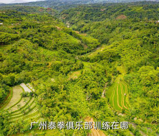廣州泰拳俱樂部訓(xùn)練在哪