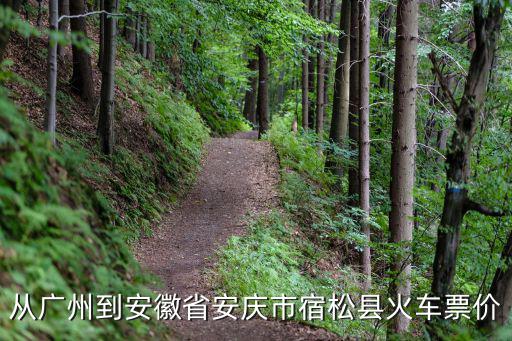 廣州安慶動車時刻表，廣州到安慶的火車是幾點的