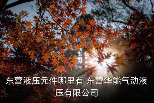 東營液壓元件哪里有 東營華能氣動液壓有限公司