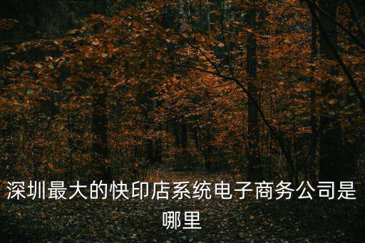 深圳最大的快印店系統電子商務公司是哪里