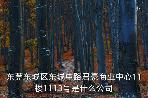 東莞東城區東城中路君豪商業中心11樓1113號是什么公司