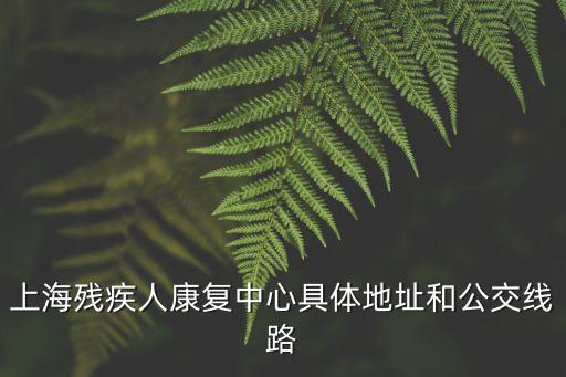 上海殘疾人康復(fù)中心具體地址和公交線路