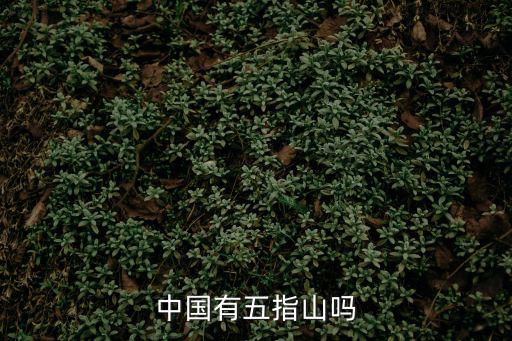 中國有五指山嗎