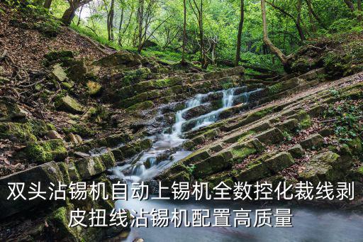 雙頭沾錫機自動上錫機全數(shù)控化裁線剝皮扭線沾錫機配置高質量