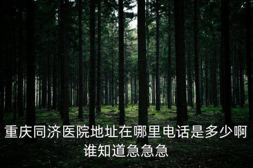 重慶同濟醫院地址在哪里電話是多少啊誰知道急急急