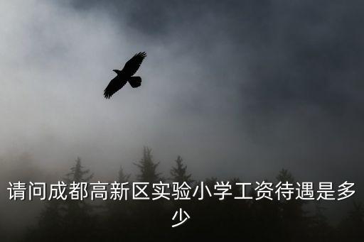 請問成都高新區(qū)實驗小學(xué)工資待遇是多少