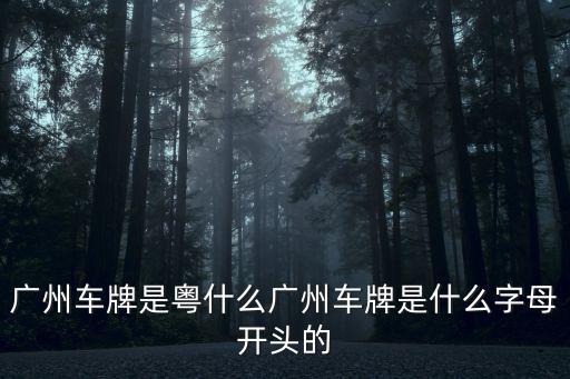 廣州車牌是粵什么廣州車牌是什么字母開頭的