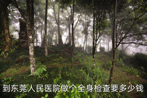 到東莞人民醫院做個全身檢查要多少錢
