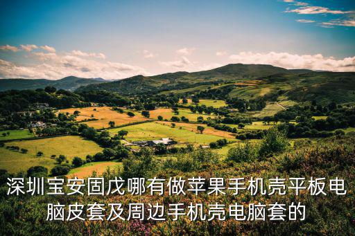 深圳寶安固戊哪有做蘋(píng)果手機(jī)殼平板電腦皮套及周邊手機(jī)殼電腦套的