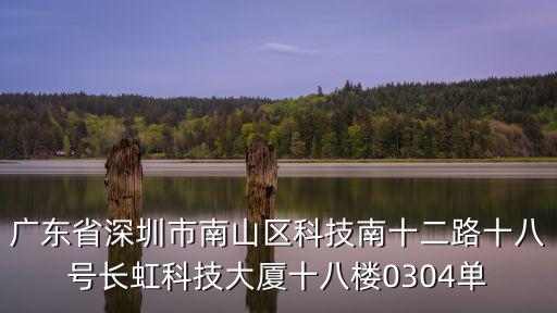 廣東省深圳市南山區(qū)科技南十二路十八號(hào)長(zhǎng)虹科技大廈十八樓0304單