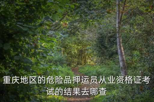 重慶市?；凡僮髯C查詢，發證章重慶市安全生產監督管理局特種操作業