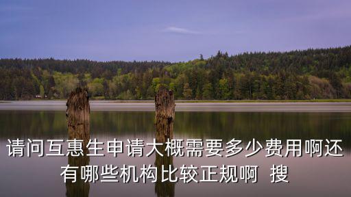 請問互惠生申請大概需要多少費用啊還有哪些機構比較正規啊  搜