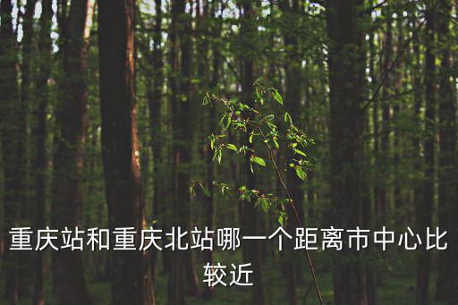 離重慶市中心近的區別，重慶中心市區指的是哪里