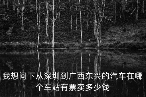 我想問下從深圳到廣西東興的汽車在哪個車站有票賣多少錢