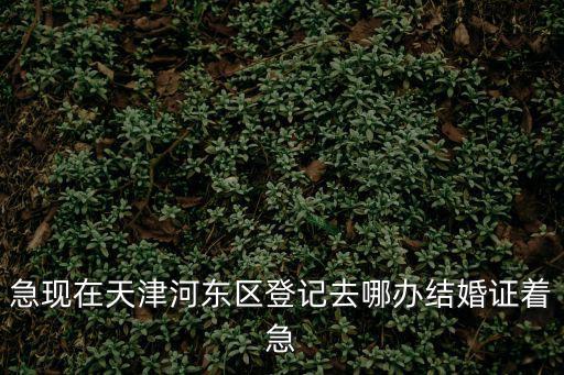 急現(xiàn)在天津河?xùn)|區(qū)登記去哪辦結(jié)婚證著急