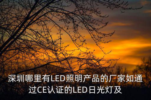 深圳哪里有LED照明產(chǎn)品的廠家如通過CE認證的LED日光燈及