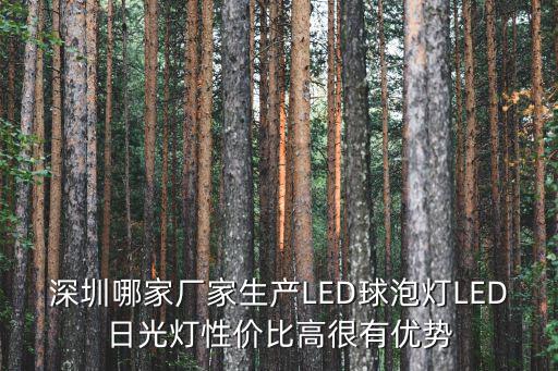 深圳哪家廠家生產LED球泡燈LED日光燈性價比高很有優勢