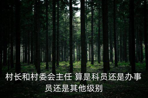 村長和村委會主任 算是科員還是辦事員還是其他級別