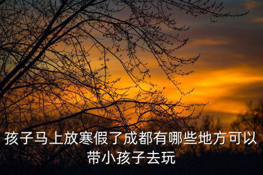在成都市內帶小孩去哪玩，孩子馬上放寒假了成都有哪些地方可以帶小孩子去玩
