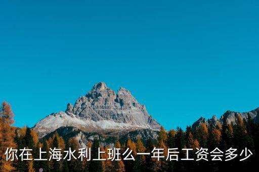你在上海水利上班么一年后工資會(huì)多少