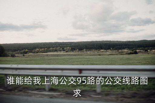 上海市公交95路線路圖，誰能給我上海公交95路的公交線路圖求