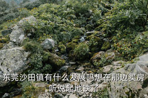 東莞沙田鎮有什么發展嗎想在那邊買房聽說起地鐵了