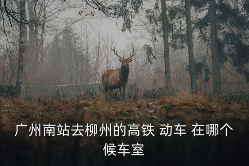 廣州南站去柳州的高鐵 動車 在哪個候車室