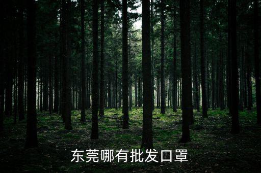 東莞哪有批發口罩