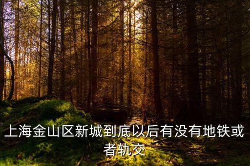 上海金山區(qū)新城到底以后有沒有地鐵或者軌交