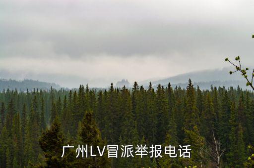 廣州LV冒派舉報電話